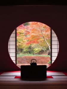 ミスターコンテンツジュニア