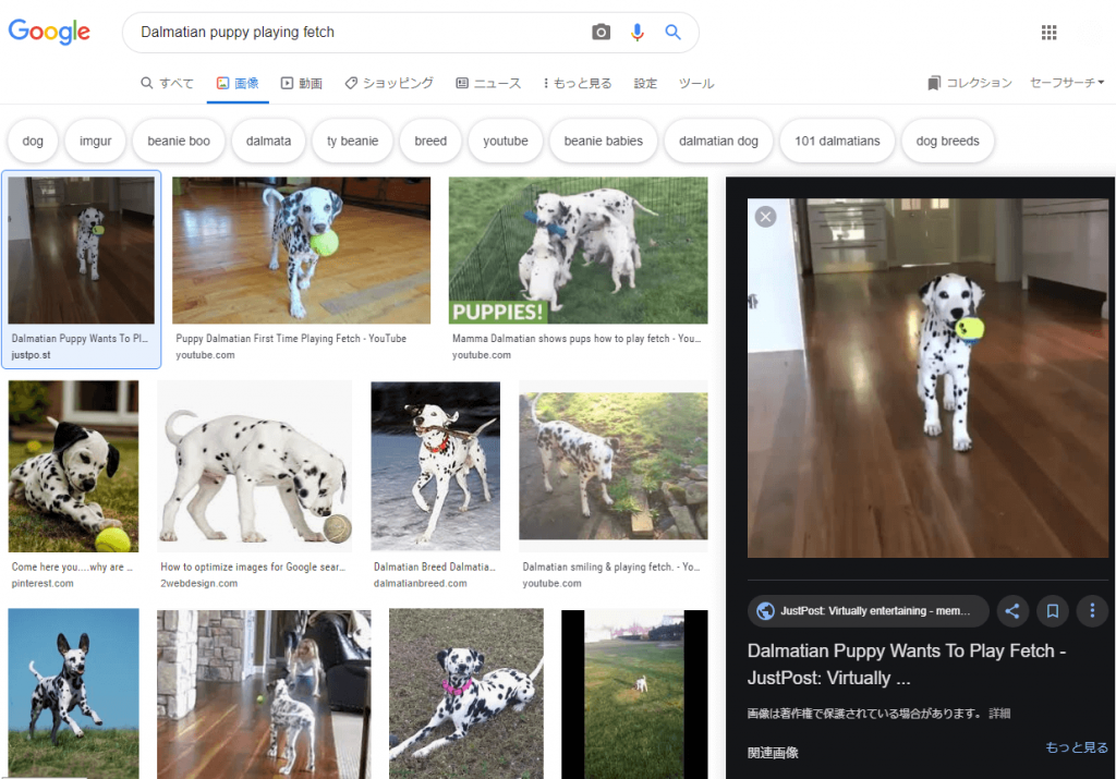 画像検索結果（Dalmatian puppy playing fetch）